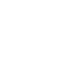PPG